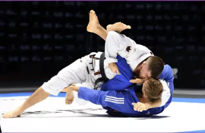 주짓수 벨트순서