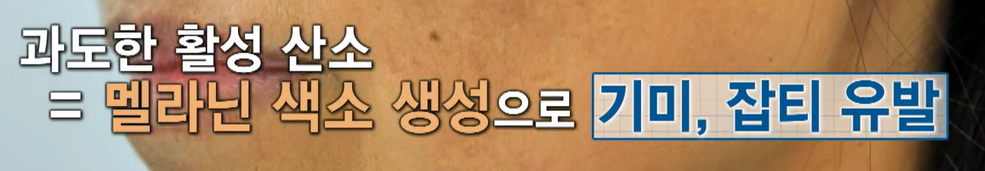 코엔자임큐텐의 효능