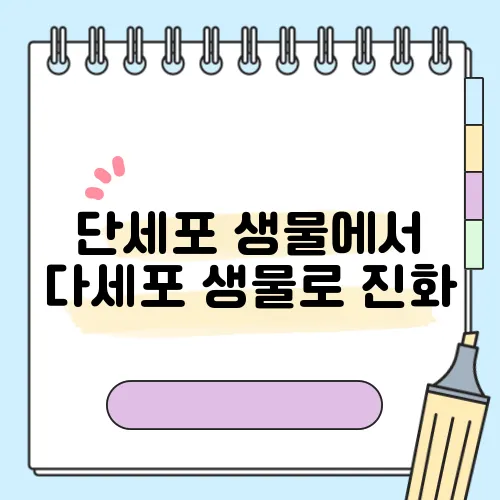 단세포 생물에서 다세포 생물로 진화