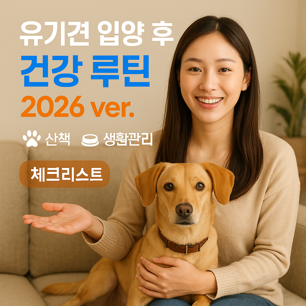 유기견 입양 후 건강 루틴 2026 ver. 산책·영양·생활관리 실전 팁