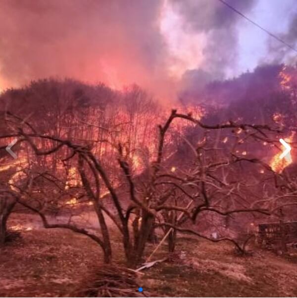 고향사랑e음으로 산불 기부하고 세액공제 + 지역특산물까지 받는 법