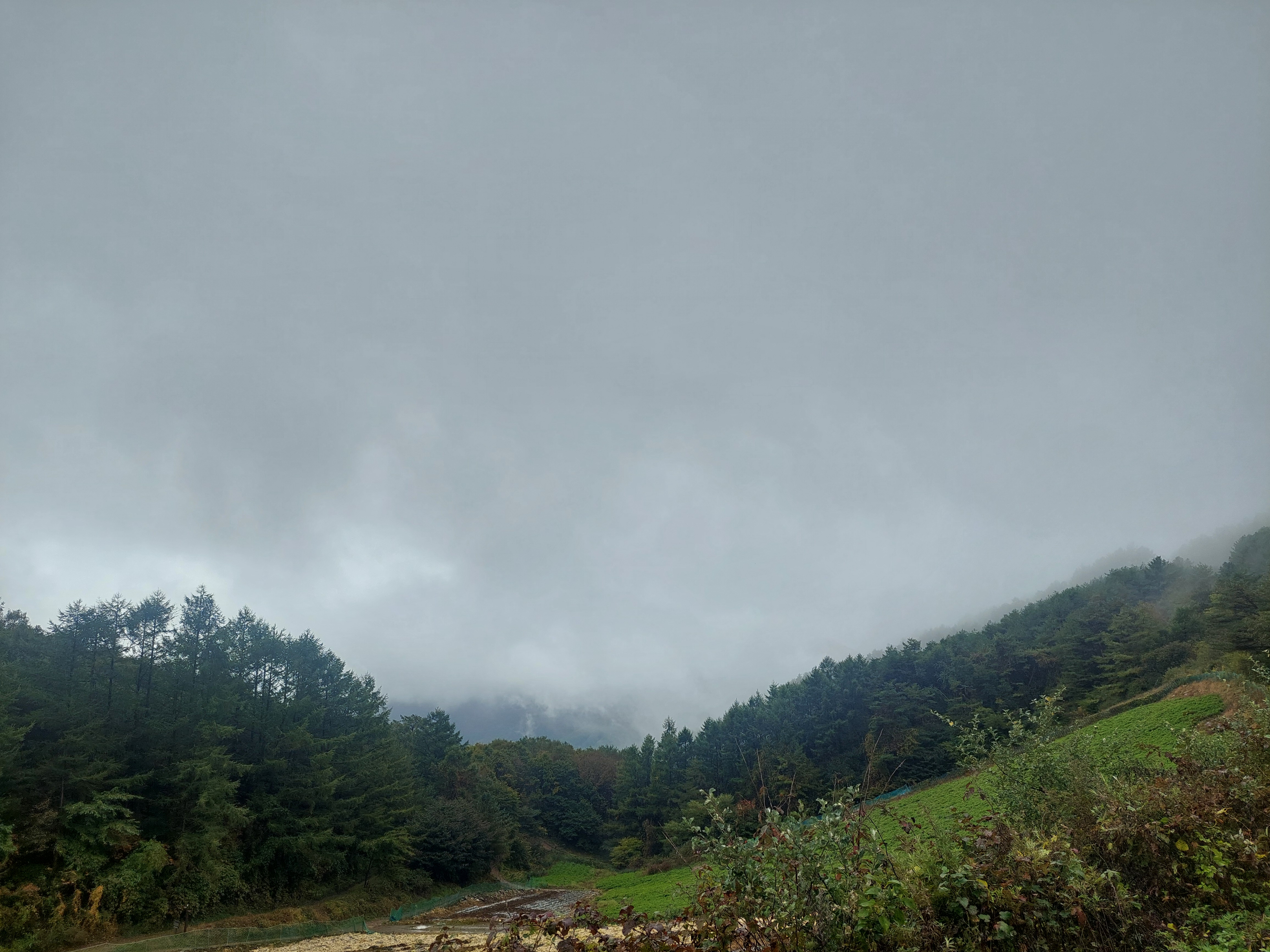 민둥산