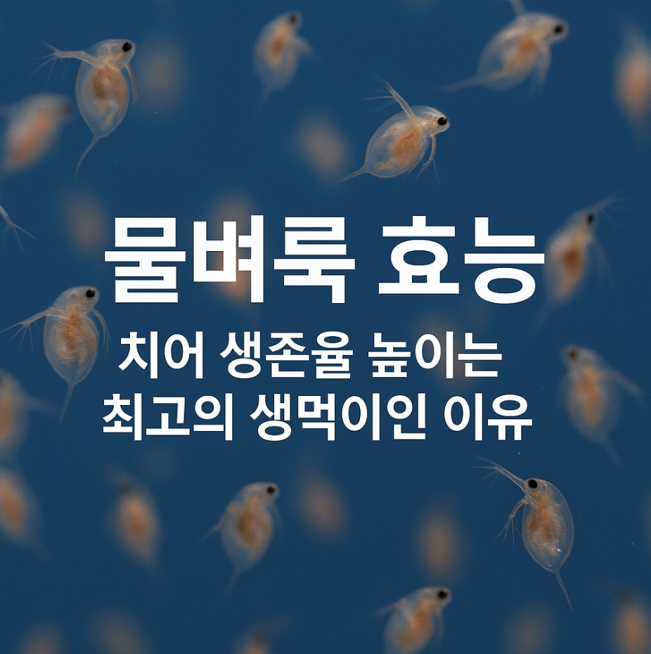 물벼룩 효능, 치어 생존율 높이는 최고의 생먹이인 이유