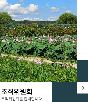 2024년 제 7회 당진합덕 연꽃축제 기본일정과 프로그램 정리 홍진영 김연자 출연