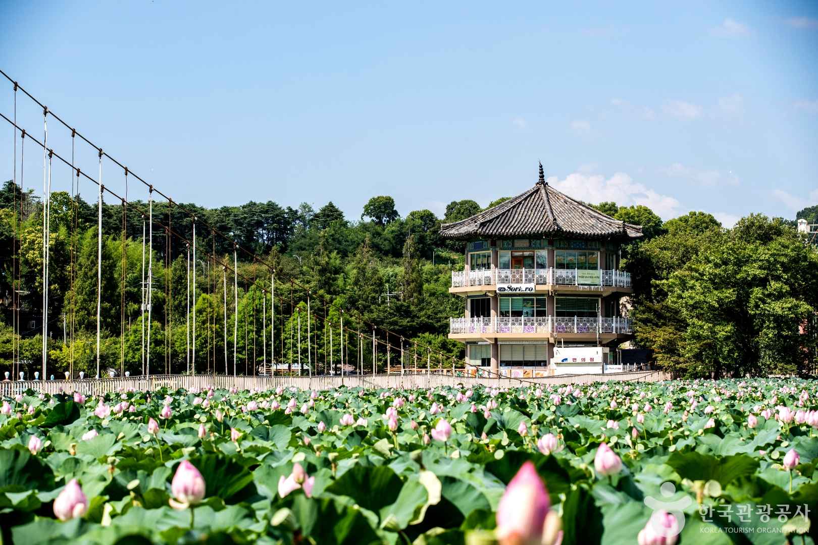 전주 덕진공원