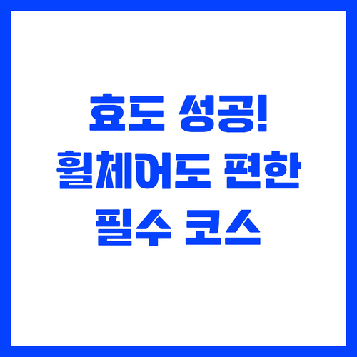 실패 없는 효도 여행을 위한 무장애 ..