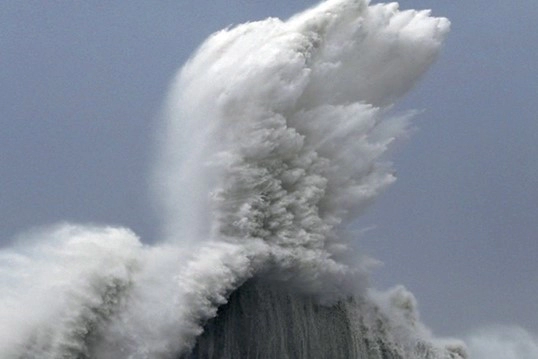 괌 향후 경로 및 현재 결항 정보