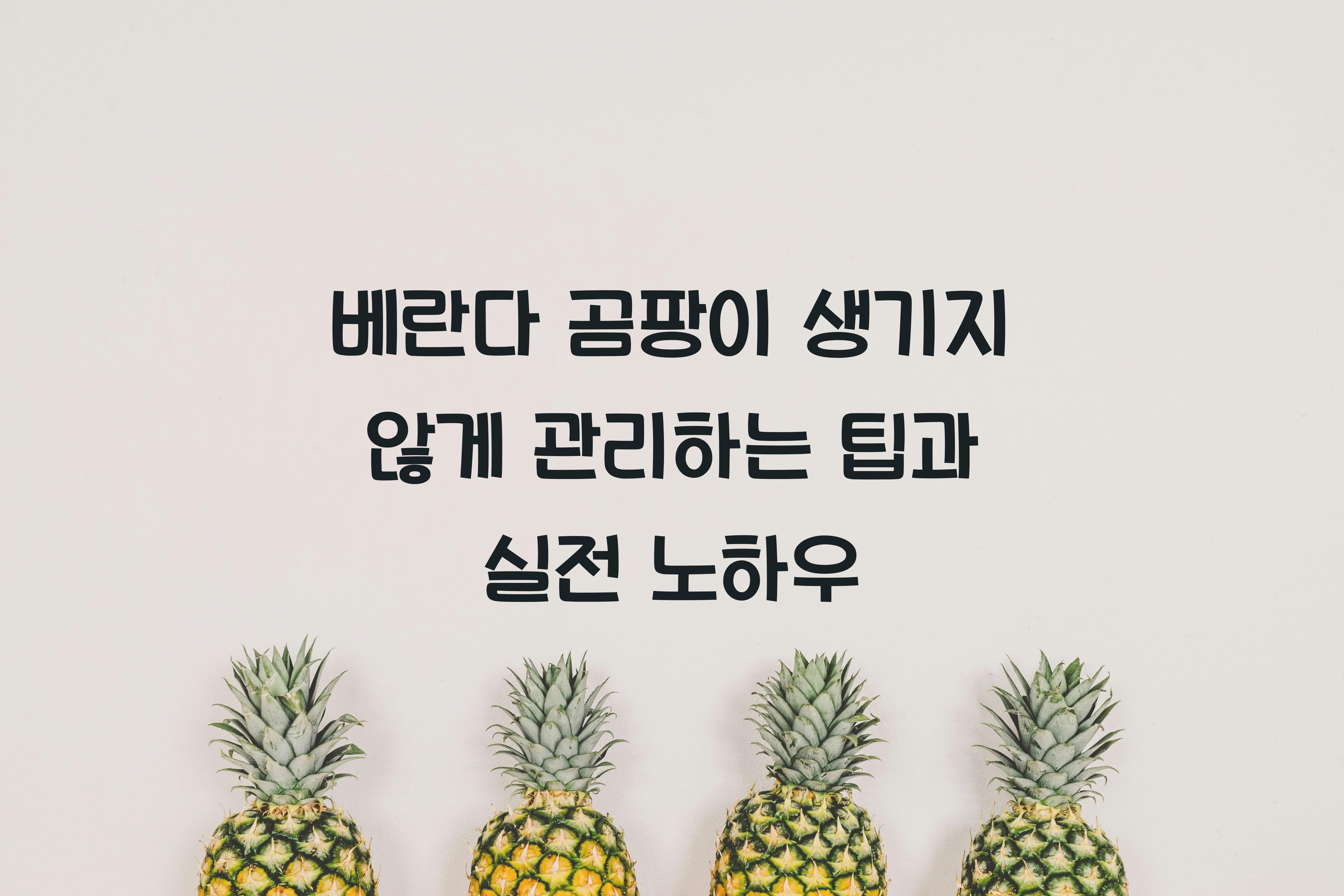 베란다 곰팡이 생기지 않게 관리하는 팁