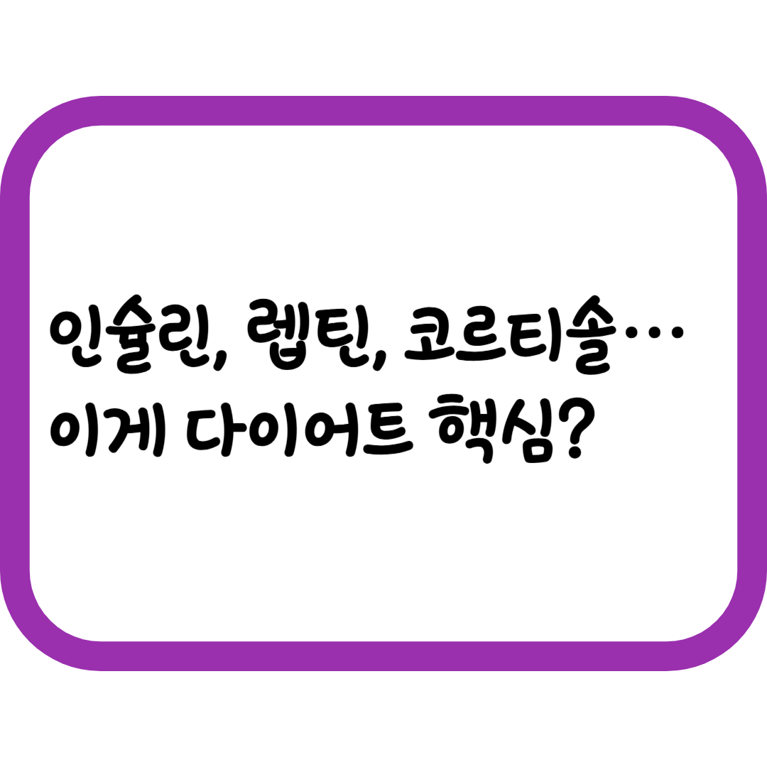 호르몬 다이어트란? 인슐린, 렙틴, 코르티솔만 잘 다스려도 살이 빠진다