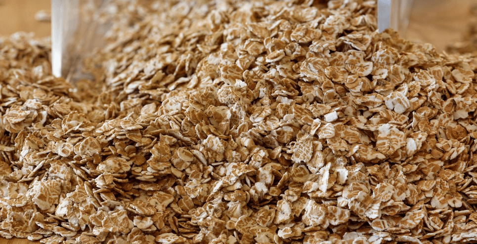 오트밀 사진 - 3
