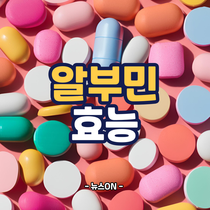 알부민의 효능