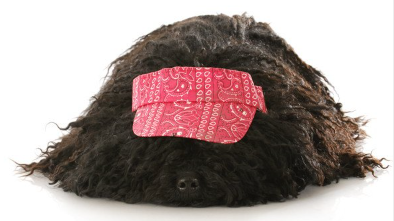 머리에 빨간 천을 얹는 검은 풀리.