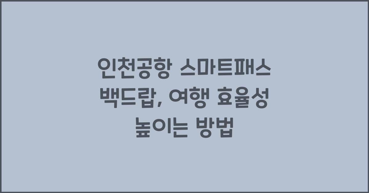 인천공항 스마트패스 백드랍