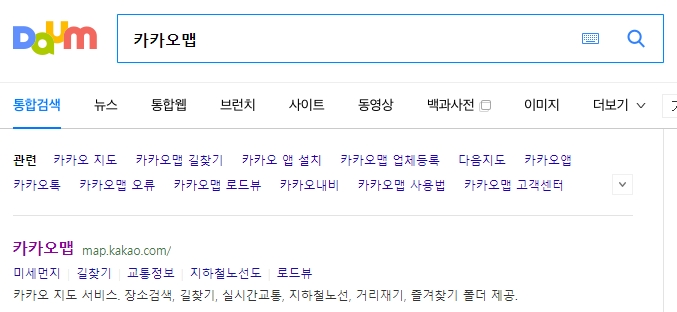 카카오맵에서 서울 버스노선 검색을 시작하는 화면