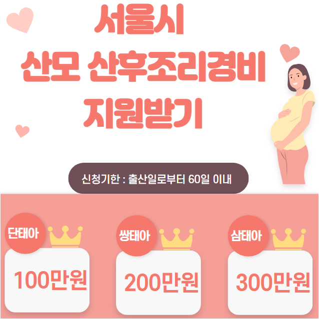 서울시 산모 산후조리 경비 신청방법