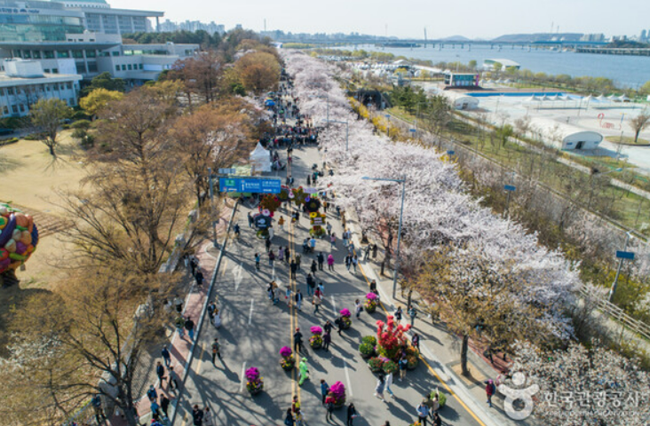석촌호수 벚꽃축제 주차장찾기