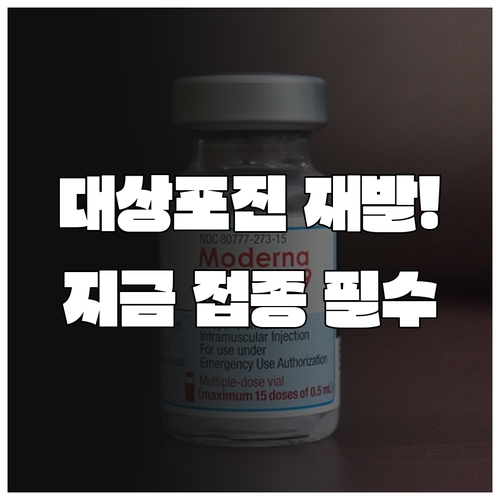 대상포진 재발 확률 낮추는 예방접종 ..