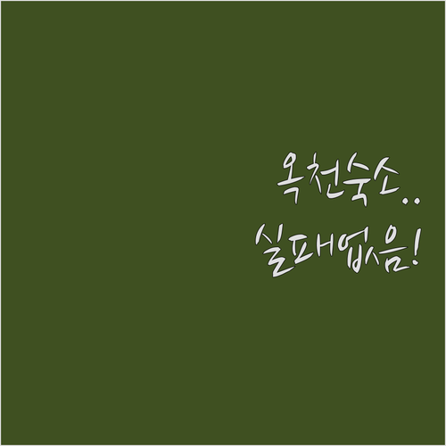 옥천 숙소 추천 대청호텔부터 감성 펜..