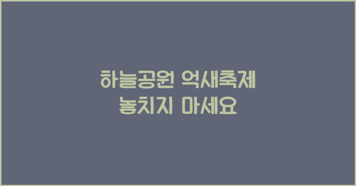 하늘공원 억새축제