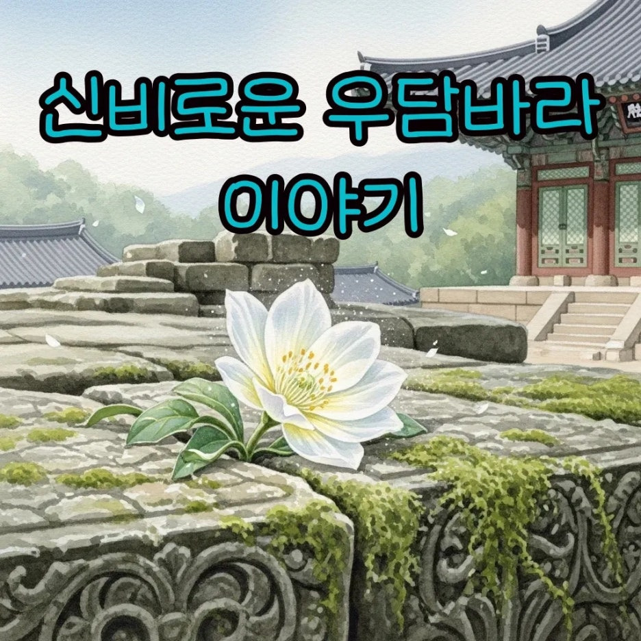 신비로운 전설의 꽃, 우담바라가 피어난 모습