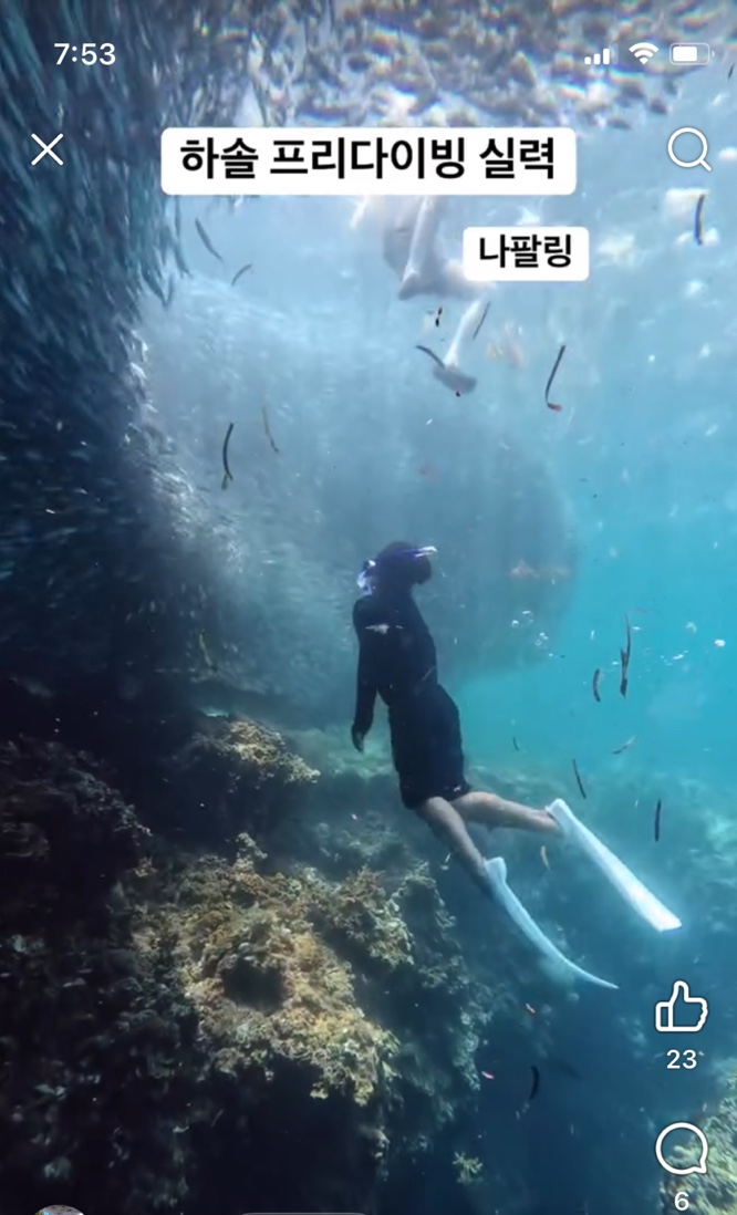 필리핀 보홀 프리다이빙