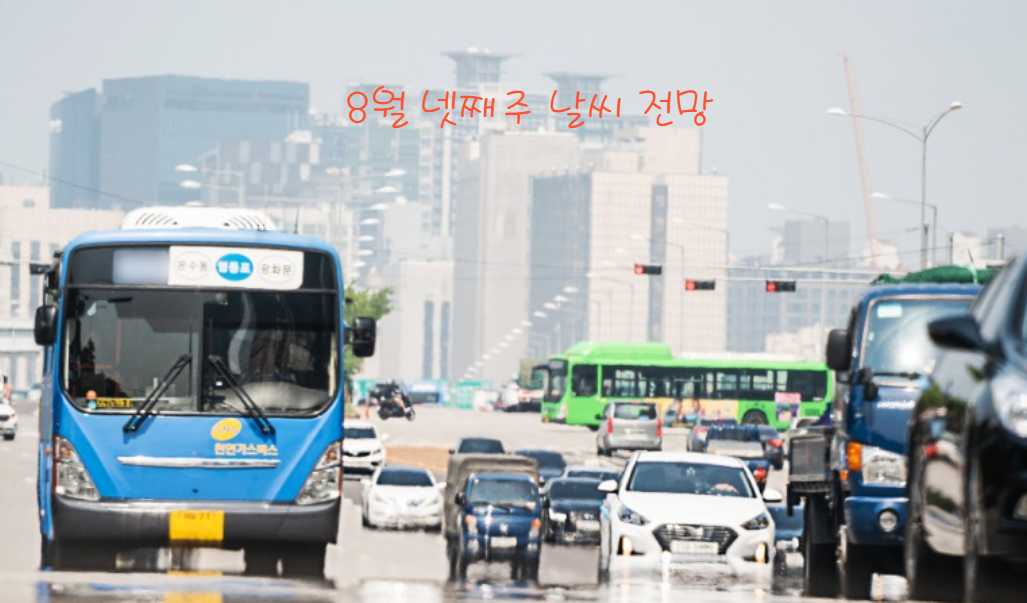 넷째주 (8월 19일 ~ 8월 25일)