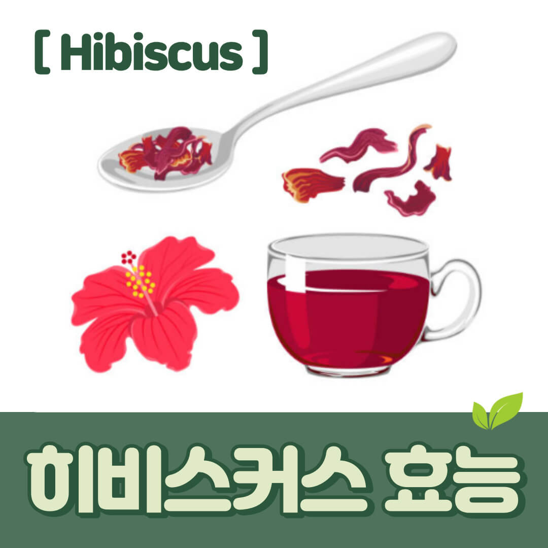 히비스커스