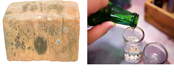 간암에 나쁜 음식1