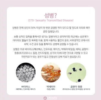 std 12종 검사 완벽 총정리종류 비용 등으로 검사항목_2
