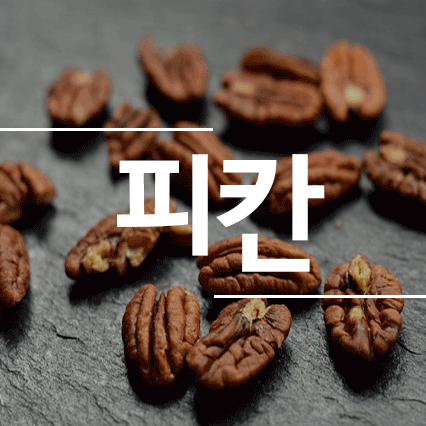 피칸의효능
