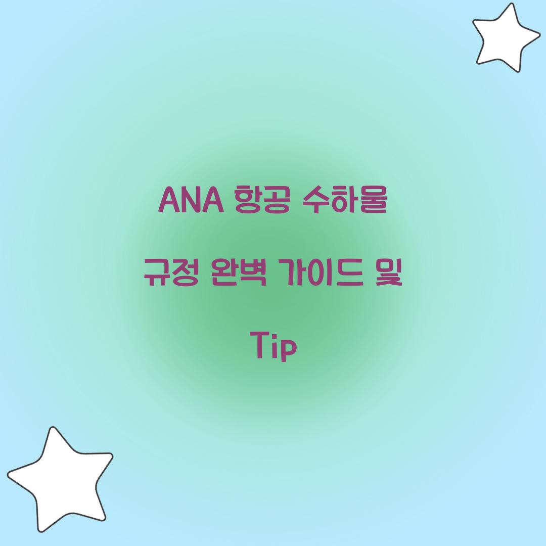 ANA 항공 수하물 규정