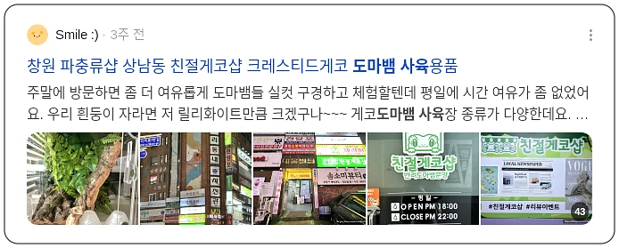 도마뱀 사육_3_subsection