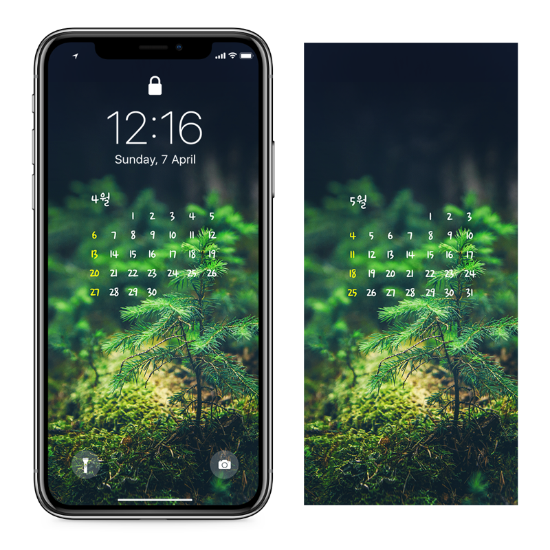 05 숲 속 작은 나무 AB - 2025년4월 아이폰달력배경화면