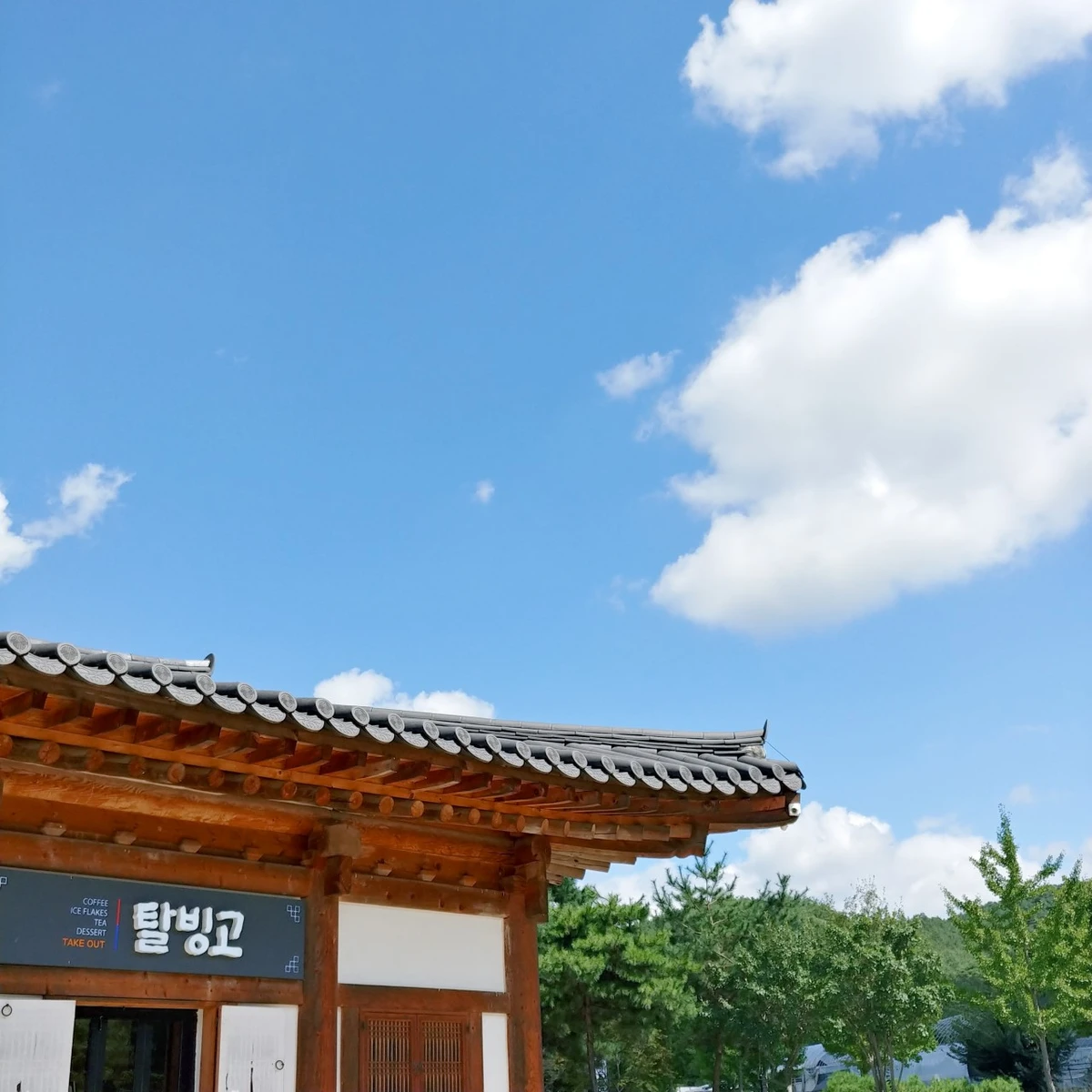 탈빙고