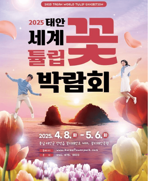 세계튤립꽃박람회모습