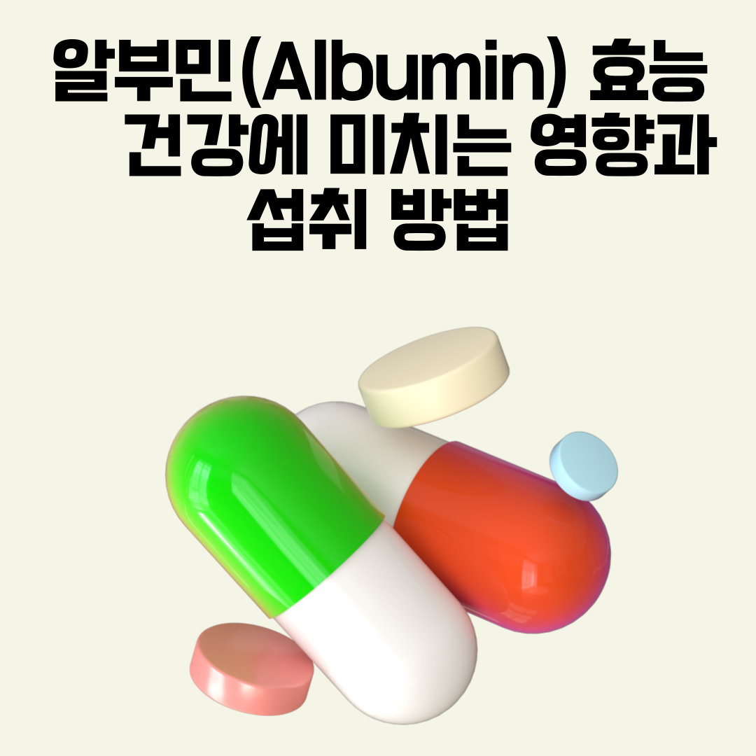 알부민 효능