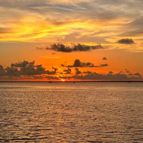 울릉도 울릉크루즈