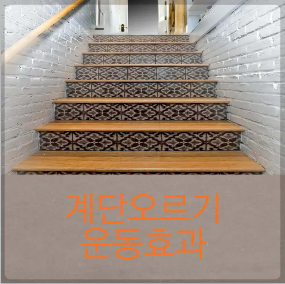 계단오르기 운동효과