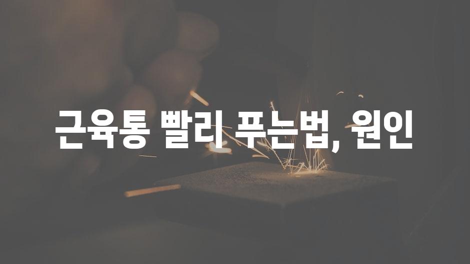 샘플 (60)