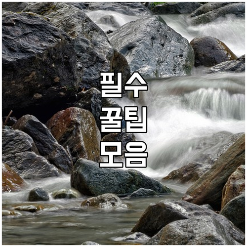 자동차 출고 기간 완벽 분석 대기 시