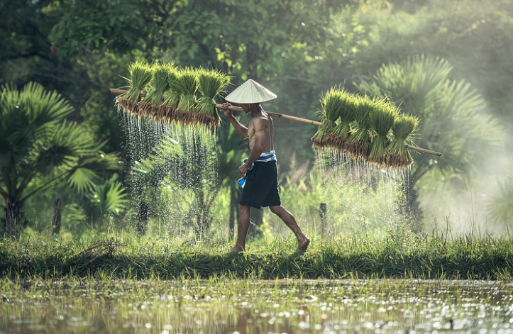 아시아 문화 유래의 재조명 (문화, 전통, 계승)