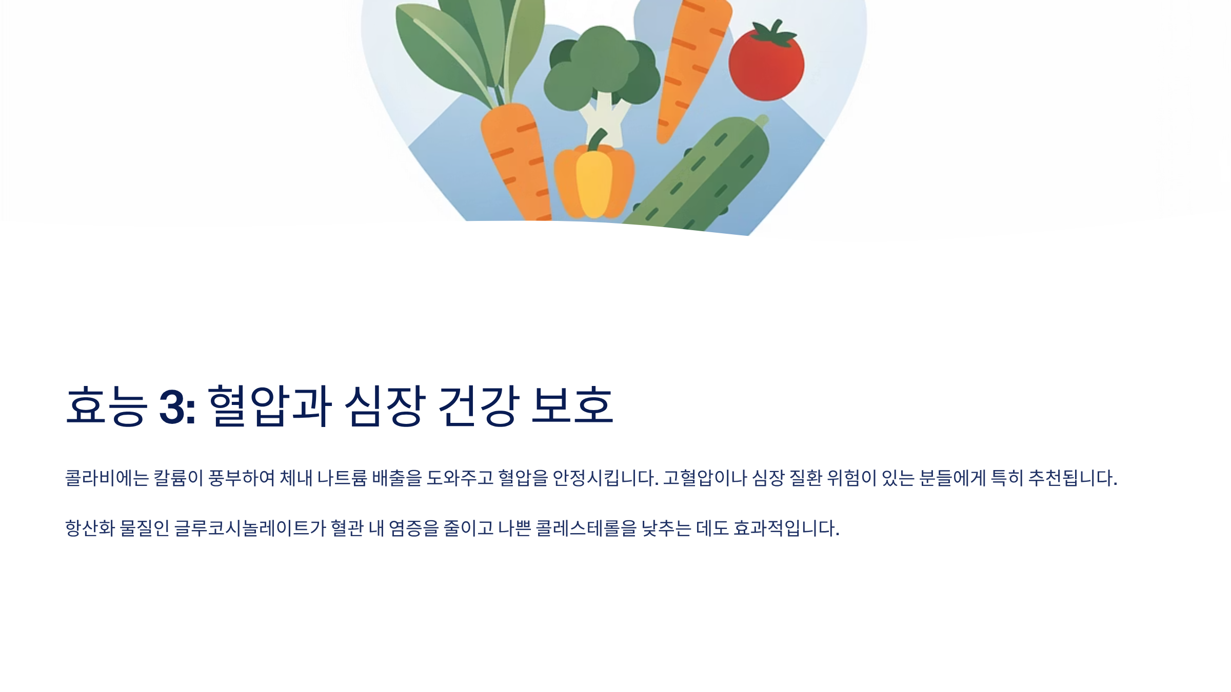 콜라비 효능 정말 놀라운 4가지