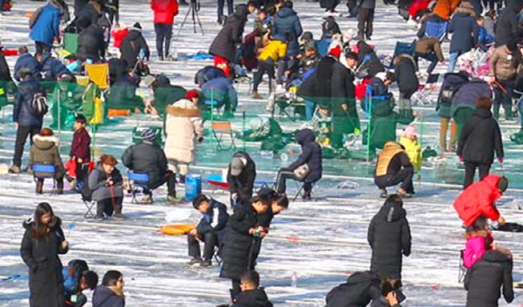 화천 산천어축제