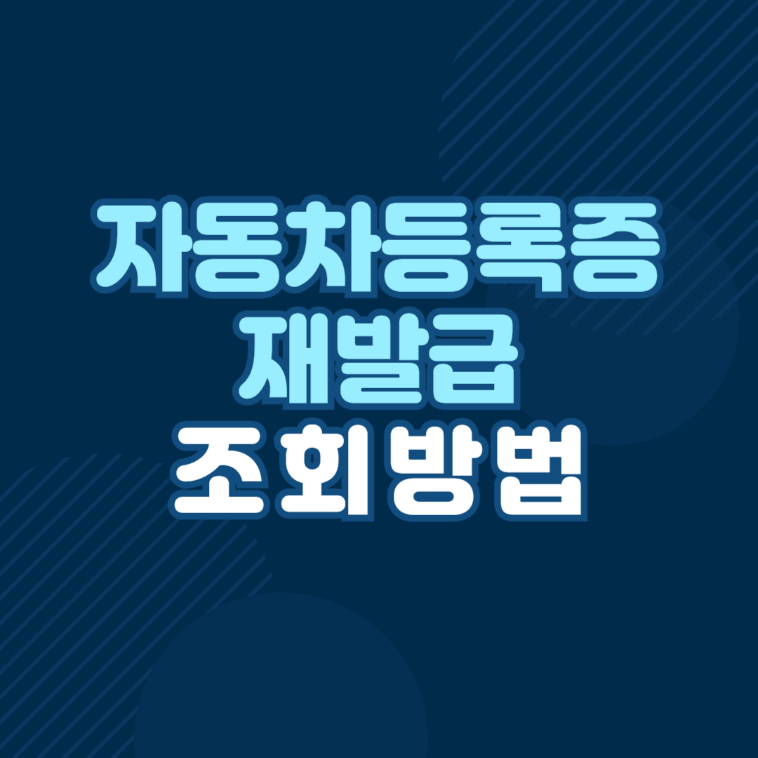 자동차등록증 조회