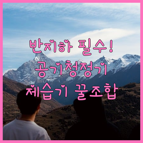 반지하 공기청정기 효과 높이는 제습기..