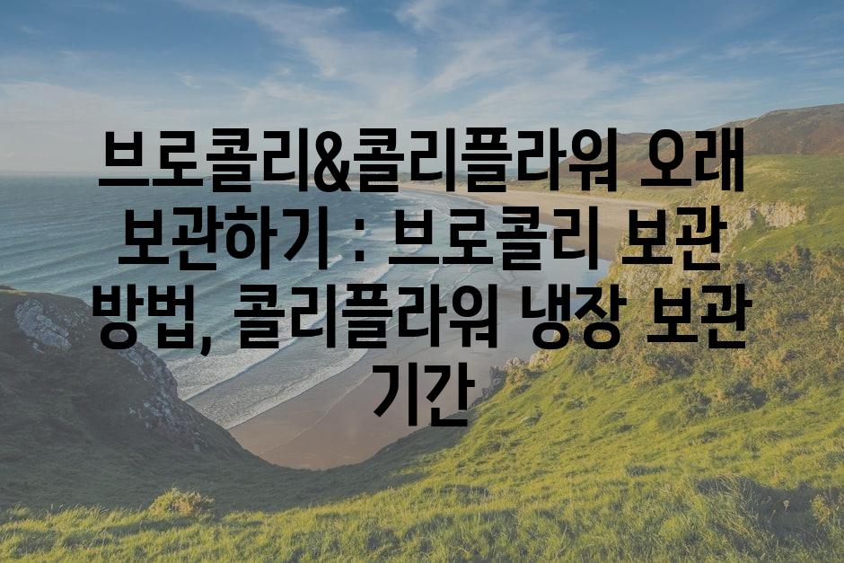 샘플 (86)
