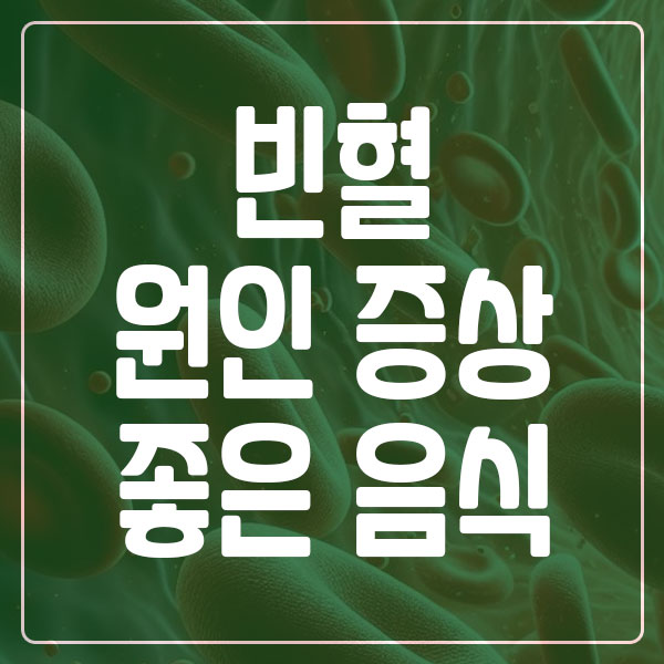 빈혈 원인 증상 빈혈에 좋은 음식