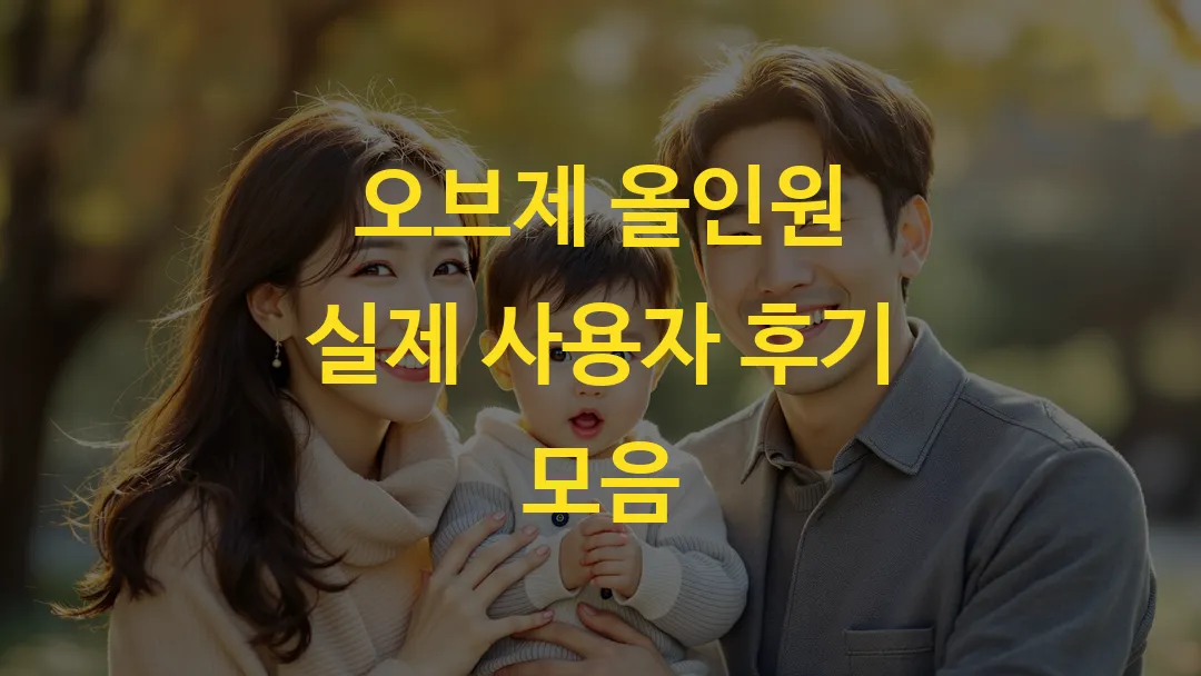 오브제 올인원 실제 사용자 후기 모음