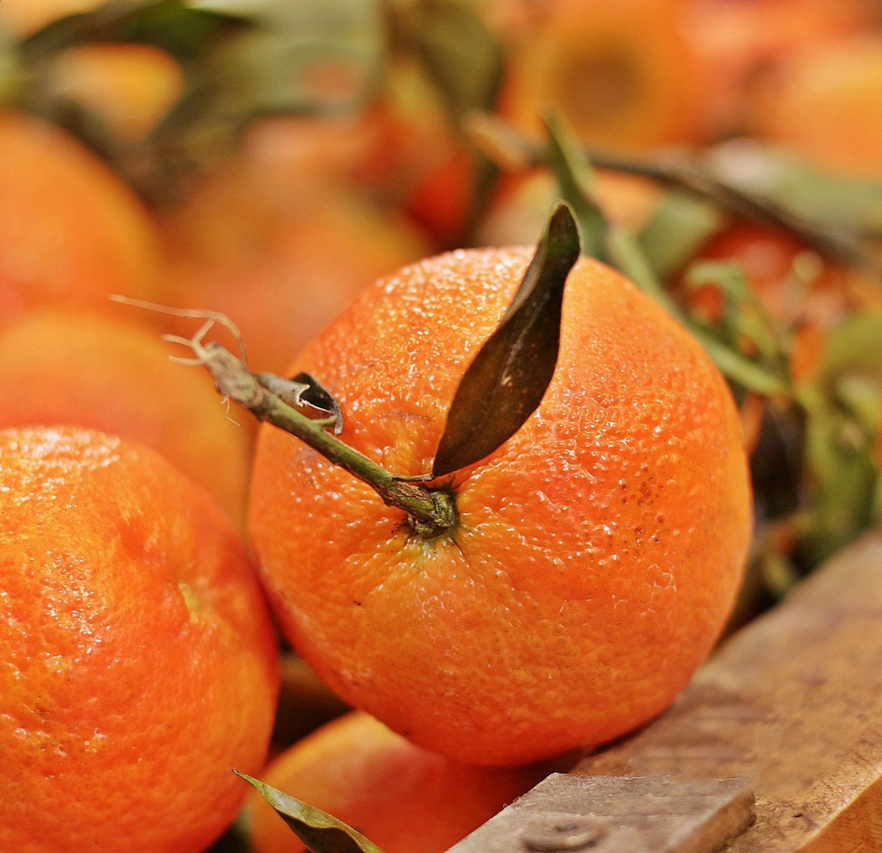 신장이 보내는 침묵의 신호! 혈당에 오래 노출되는 장기일까!