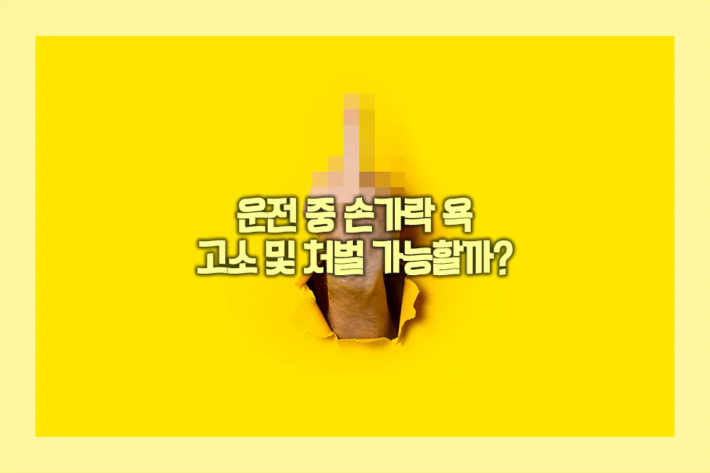 운전 중 손가락욕 고소 처벌